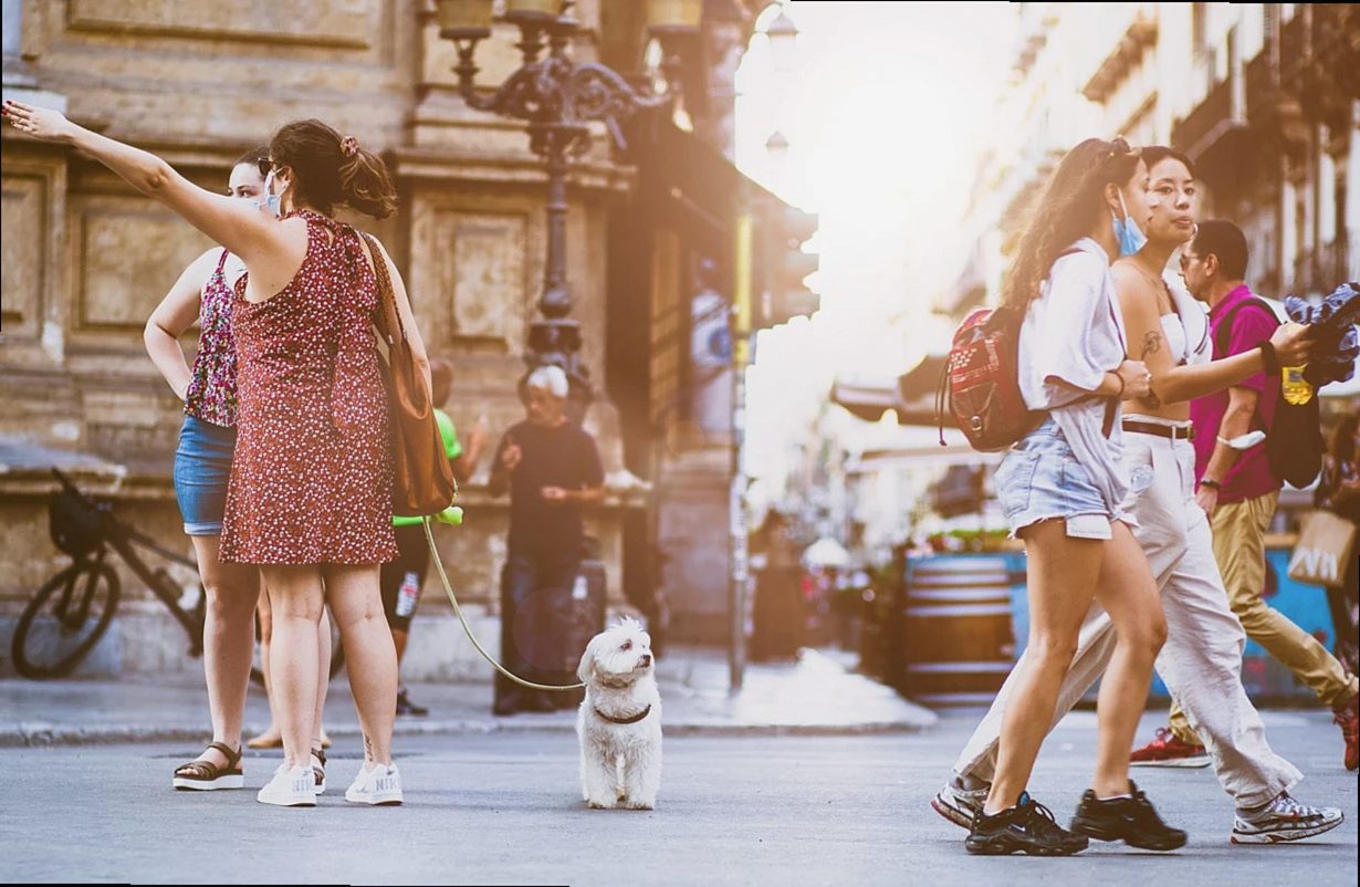 personas, calle, animal, ciudad, caminando, urbano, naturaleza, multitud, camino, concurrido, estilo de vida, amigos, pe